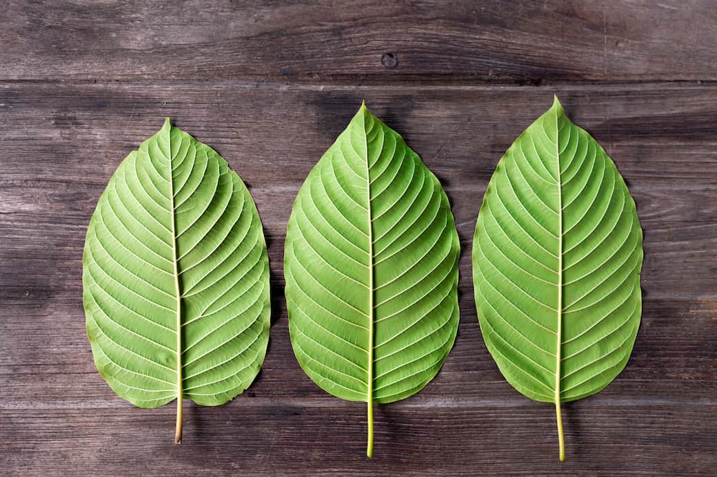 Kratom: An Emerging Natural Remedy for Pain Relief